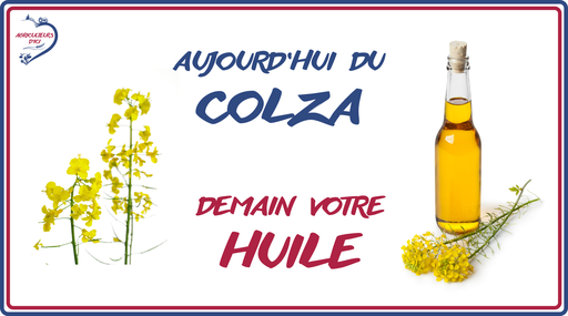 Aujourd'hui du colza, demain votre l'huile