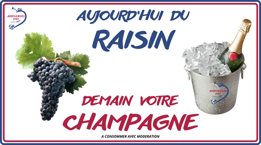 Aujourd'hui du raisin, demain votre champagne
